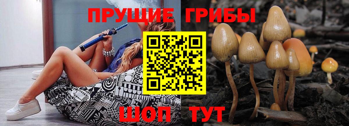 Псилоцибиновые грибы ЛСД Касимов