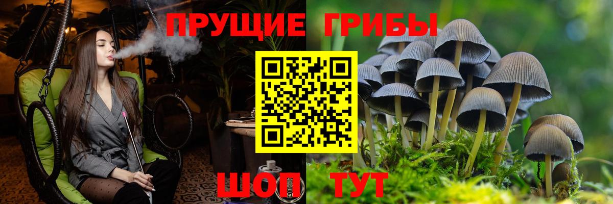 где купить наркотик  Псилоцибиновые грибы Psilocybe  Псилоцибиновые грибы Magic Shrooms  Вход с VPN  Касимов 